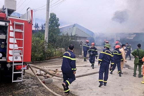 Lâm Đồng: Xưởng sản xuất nấm lớn nhất bị thiêu rụi
