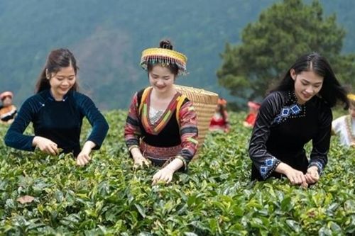 Du lịch xanh - hướng tới tăng trưởng bền vững