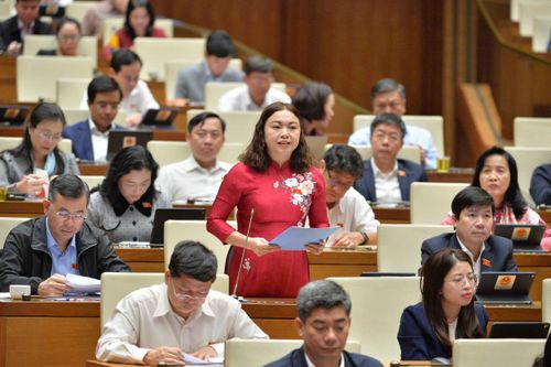 ĐBQH Đặng Bích Ngọc (Hòa Bình): Giải quyết tận gốc các kiến nghị của cử tri