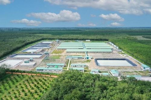 Liên tục huy động vốn từ phát hành cổ phiếu và trái phiếu, Nông nghiệp BAF Việt Nam kinh doanh ra sao?