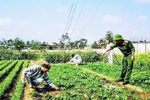Bền bỉ đánh thức mầm thiện