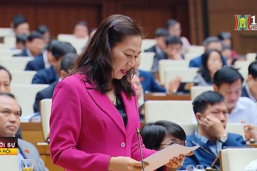 Quốc hội giám sát việc giải quyết kiến nghị của cử tri