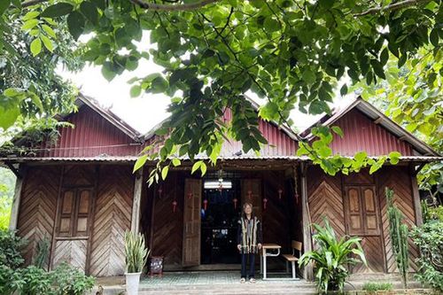 Giữ rừng sâm để giữ văn hóa