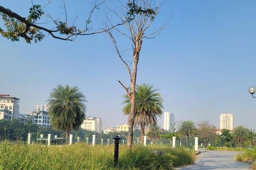 Hà Nội: Công viên hồ điều hòa ban đêm tối om, cỏ mọc um tùm, rác thải bẩn thỉu