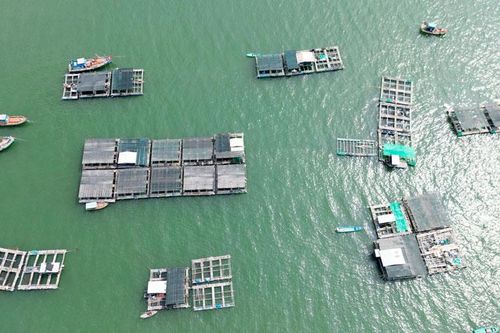 Na Uy tìm kiếm hợp tác với tỉnh Kiên Giang trong lĩnh vực nuôi biển