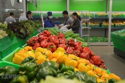 Đến năm 2030, xuất khẩu rau sẽ vượt 1 tỷ USD