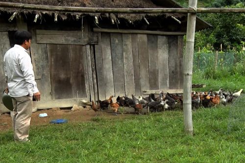 Giải bài toán thoát nghèo cho nông dân vùng biên