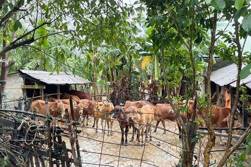 Tựa vai nhau vượt qua thiên tai