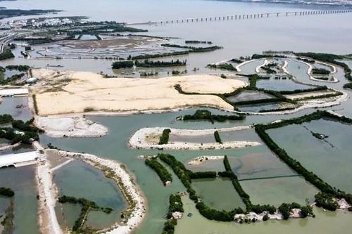Cty Thị Nại Eco Bay nợ thuế 219 tỷ, dính loạt lùm xùm