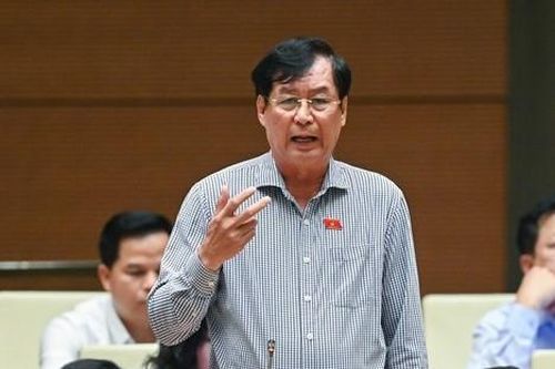 Đại biểu Quốc hội: Chúng ta tập trung chống tốt, nhưng tại sao tội phạm vẫn tăng?