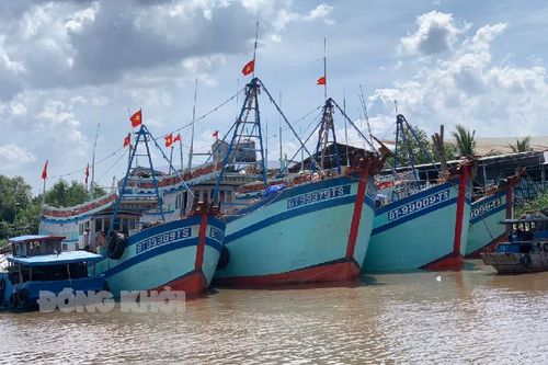 Bến Tre đề ra mục tiêu và định hướng phát triển bền vững kinh tế biển