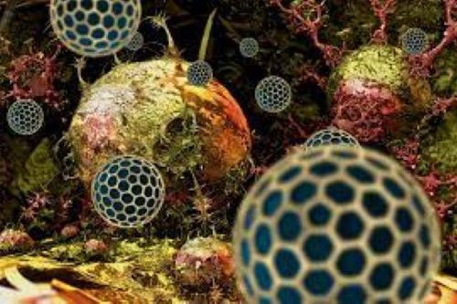 Nga phát triển thành công nanopolymer ngăn chặn sự phát triển của khối u ung thư