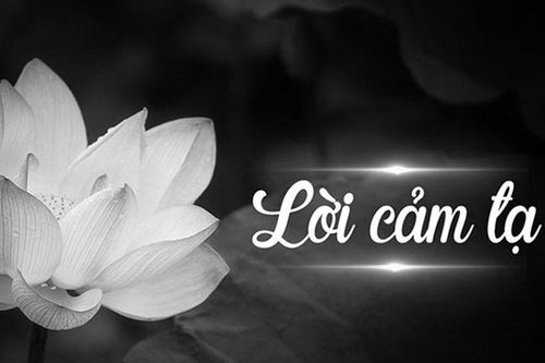 Lời cảm ơn của BTC lễ tang và gia đình Đại úy Trần Trung Hiếu
