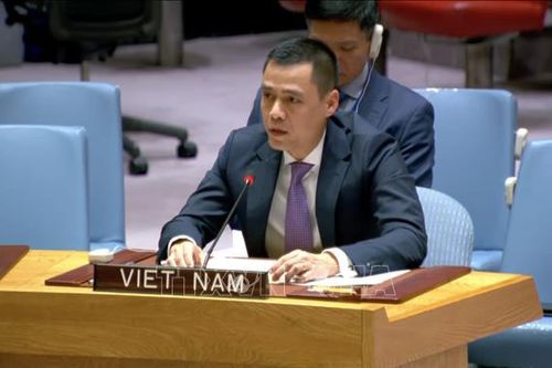 Việt Nam khẳng định hòa bình là điều kiện tiên quyết để phát triển