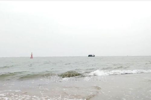 Hỗ trợ bảo hiểm cho chủ tàu cá tham gia khai thác vùng biển xa