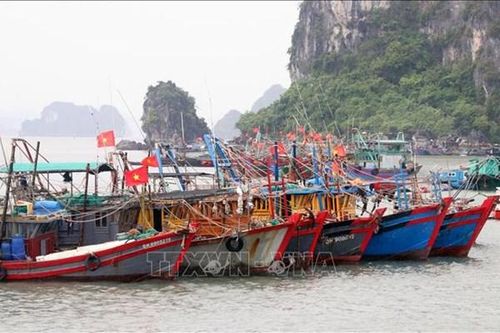 Quảng Ninh dự kiến GRDP năm 2023 ước đạt trên 11%
