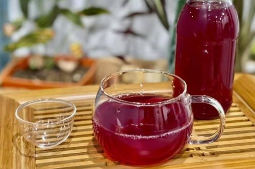 Uống nước lá tía tô tươi có lợi ích gì?