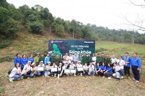 Tái khởi động chương trình trồng rừng 'Sống khỏe góp xanh 2023'
