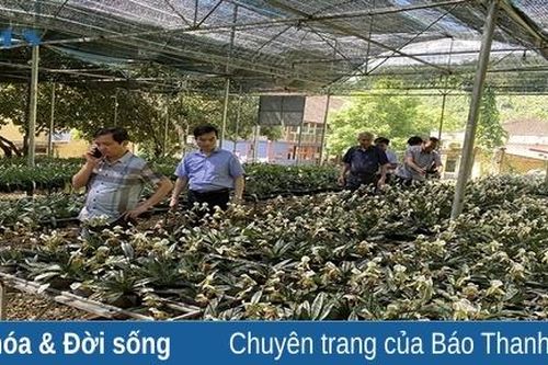 Nghiên cứu khoa học, góp phần bảo tồn đa dạng sinh học ở Khu bảo tồn thiên nhiên Xuân Liên