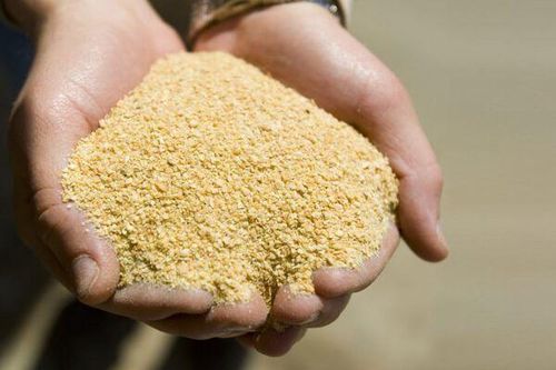 Bộ Tài chính không đồng ý giảm thuế nhập khẩu khô dầu đậu tương về 0%