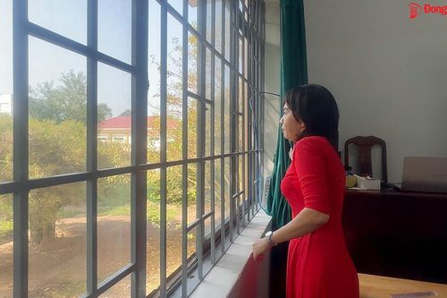 Di dời chuồng bò sát bên trường, cô trò hết ám ảnh mùi hôi