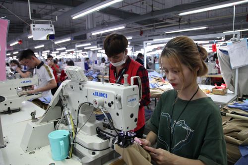 Nhiều doanh nghiệp tách thu nhập để 'né' đóng BHXH cho người lao động