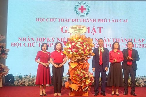 Nhiều hoạt động kỷ niệm 77 năm ngày thành lập Hội Chữ thập đỏ Việt Nam
