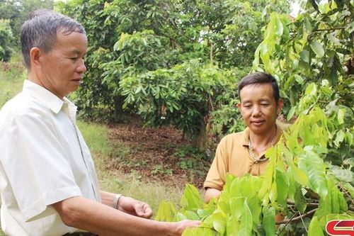 Khắc phục khó khăn phát triển kinh tế hiệu quả