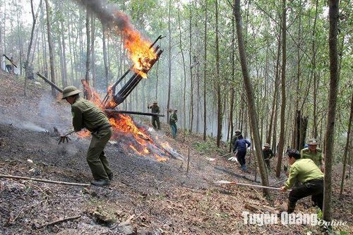 23 xã có nguy cơ cháy rừng cao