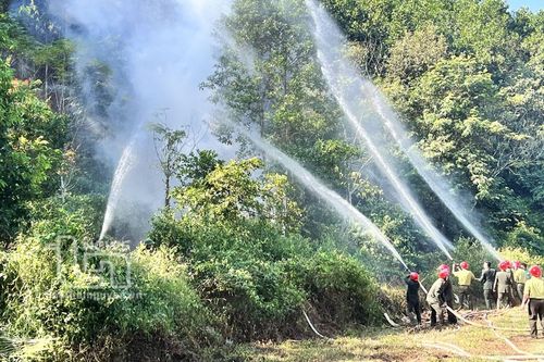 Diễn tập chữa cháy rừng tại xã Dân Tiến