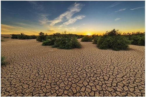 Liên Hiệp Quốc: Trái đất có thể nóng lên tới 2,9°C vào cuối thế kỷ này