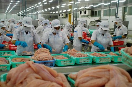 Cập nhật, hệ thống hóa chính sách các hiệp định thương mại tự do