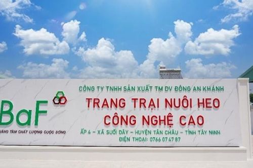 BAF dự kiến chào bán hơn 68,4 triệu cổ phiếu ra công chúng