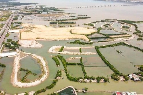 Bình Định: Công bố danh sách 95 doanh nghiệp nợ thuế 'khủng'