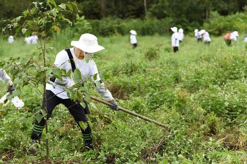 L'Oreál tiếp tục thực hiện cam kết Trồng rừng cho Tương lai tại VQG Cát Tiên