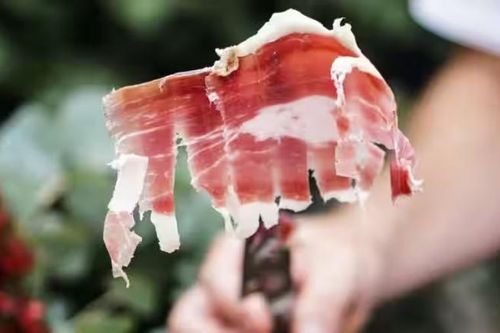 Italy cấm thịt 'nhân tạo'