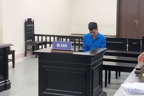 Lĩnh 12 năm tù vì vận chuyển trái phép sừng tê giác