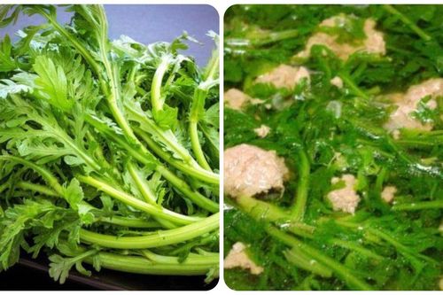 Công dụng của rau cải cúc ít người biết