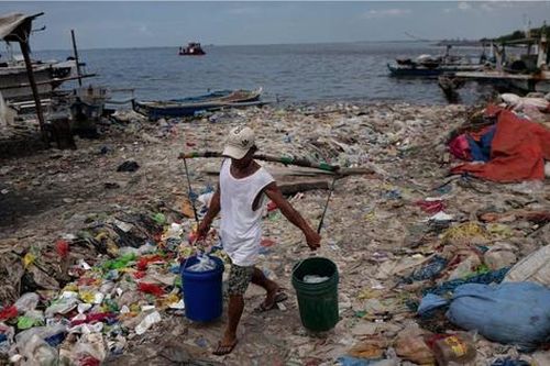Vi sinh vật 'ăn' nhựa: Giải pháp tiềm năng cho ô nhiễm rác thải nhựa