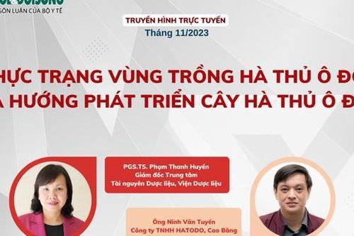 Truyền hình trực tuyến: Thực trạng vùng trồng hà thủ ô đỏ và hướng phát triển cây hà thủ ô đỏ