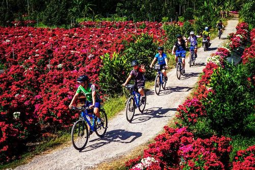 Phát triển du lịch nông thôn: Tìm cách khai thác 'mỏ vàng' bền vững