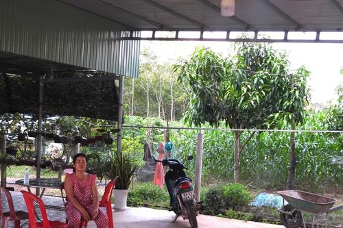 Lý do người dân chưa được cấp sổ đỏ, công nhận đường giao thông
