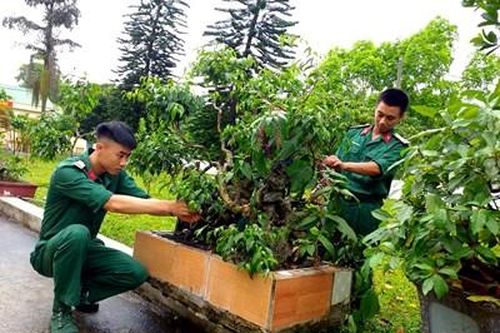Ấn tượng Kho K380