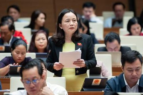 Đại biểu Quốc hội: Bảo vệ người tố cáo để không bị trả thù, trù dập