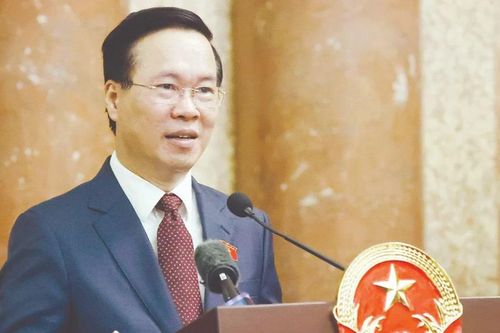 Việt Nam tham gia chủ động, tích cực vào các hoạt động nhân đạo quốc tế