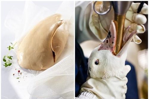 Món ăn 'nhà giàu' gây phẫn nộ vì tàn nhẫn được tạo ra thế nào?