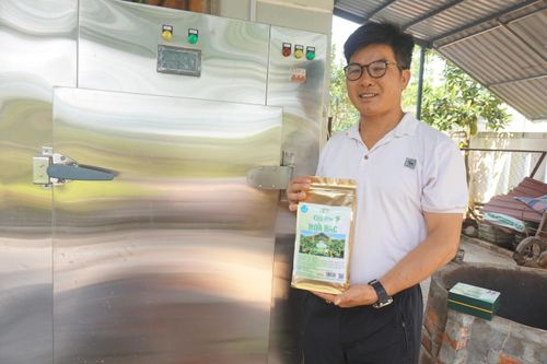 Thầy giáo Đà Nẵng khởi nghiệp với cây chè dây