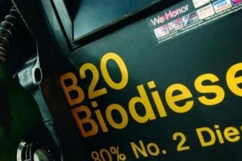 Trung Quốc khởi động lại ngành công nghiệp diesel sinh học