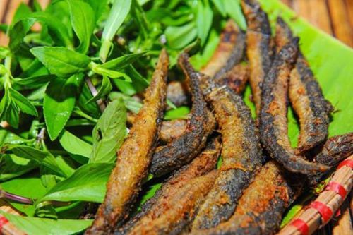 Loài cá được ví như 'nhân sâm dưới nước' tốt cho thận, gan