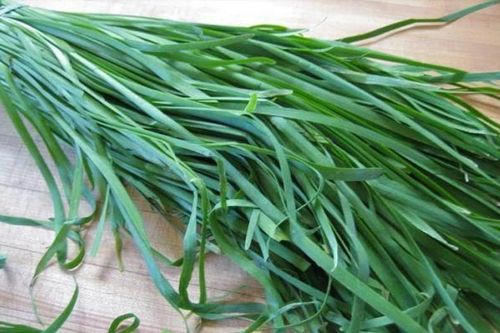 7 cách dùng cây rau hẹ giảm ho, viêm họng
